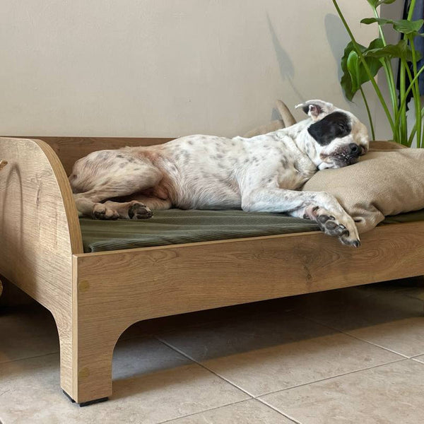 Skipper - 15KG, Size M