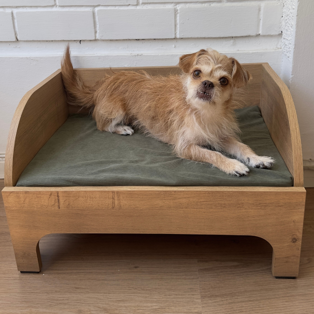 Anxious dog relaxing in wooden den-style bed with wrap-around sides for security