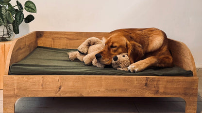 Golden retriever sleeping on elevated timber dog bed with cushioned mattress