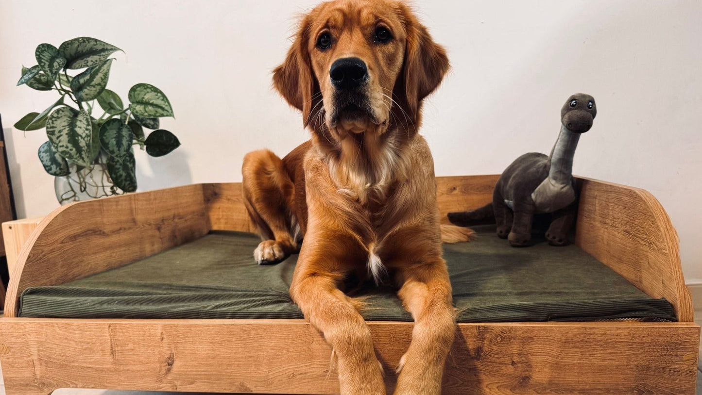 Large wooden dog bed with washable mattress cover in neutral home setting