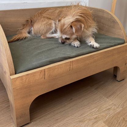 Senior dog resting on orthopedic wooden bed for joint support