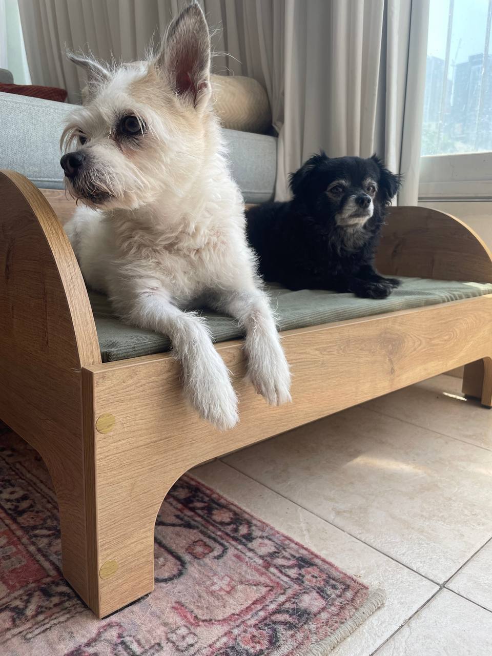 Natural timber dog bed frame showing elevated design and smooth finish
