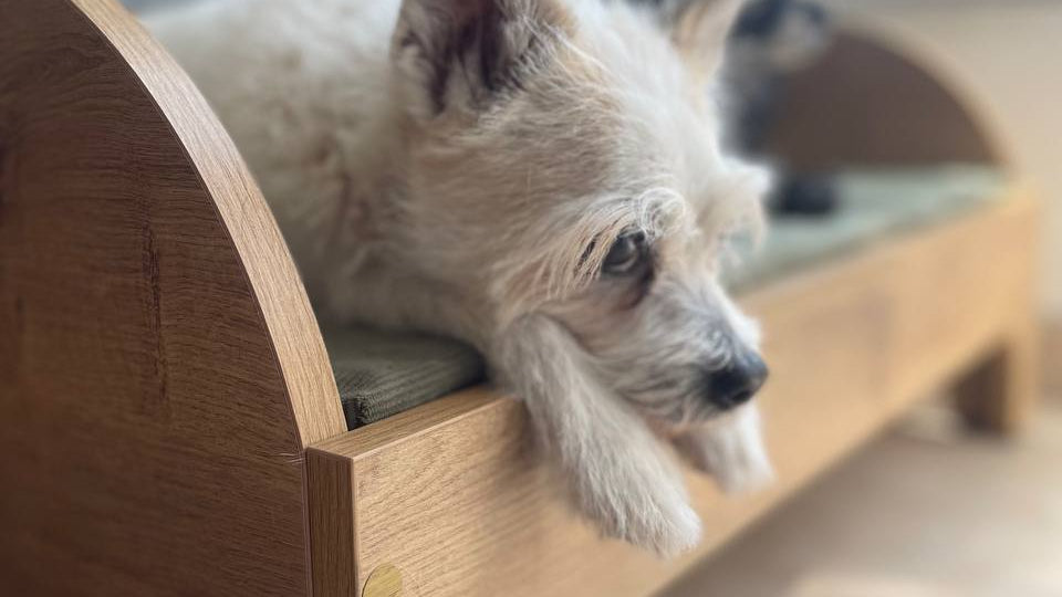 Removable vintage green corduroy cover for wooden dog bed, machine washable