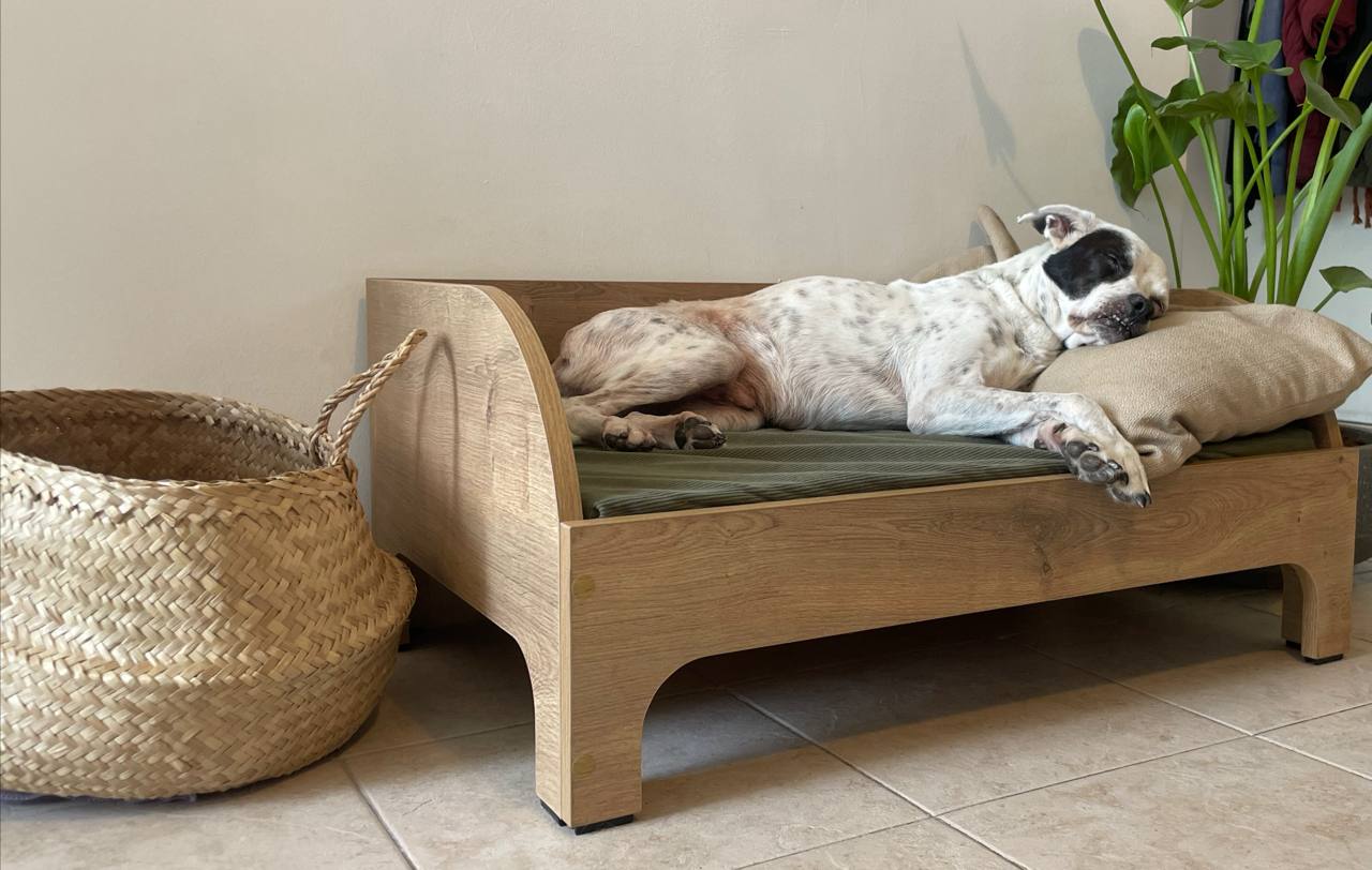 Wooden dog bed with orthopedic mattress in modern Australian living room